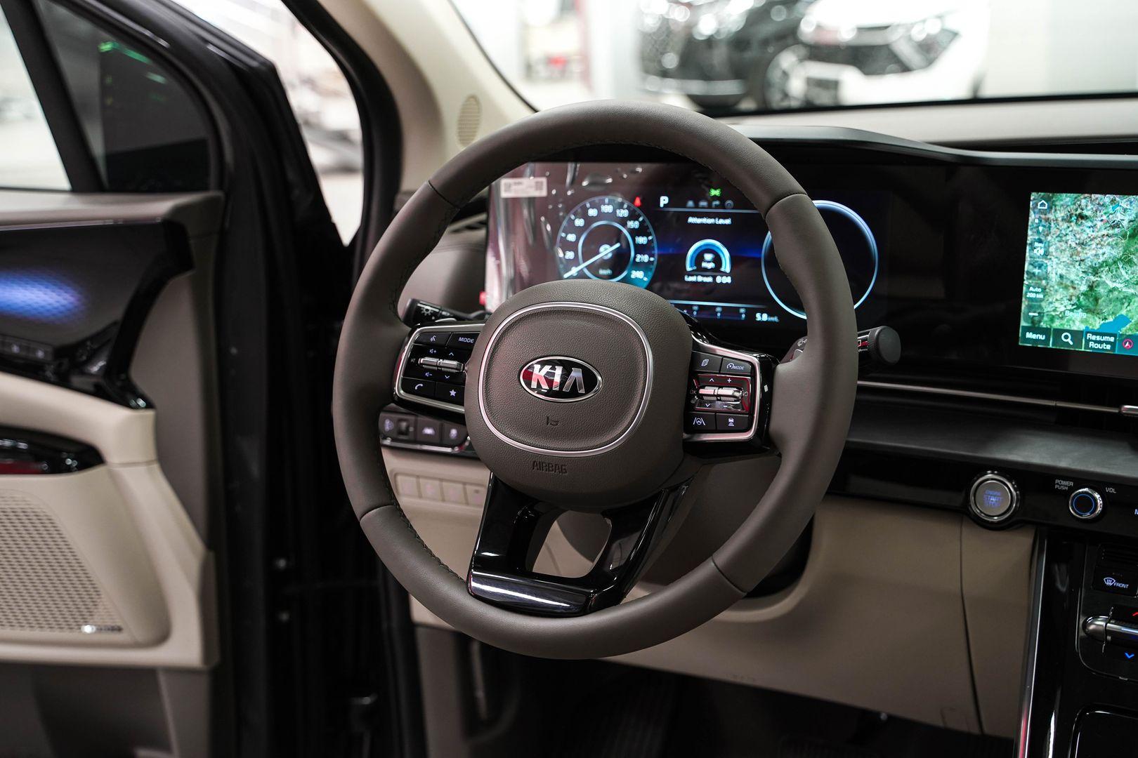 Kia Carnival 2020, серый, ДЦ Орехово