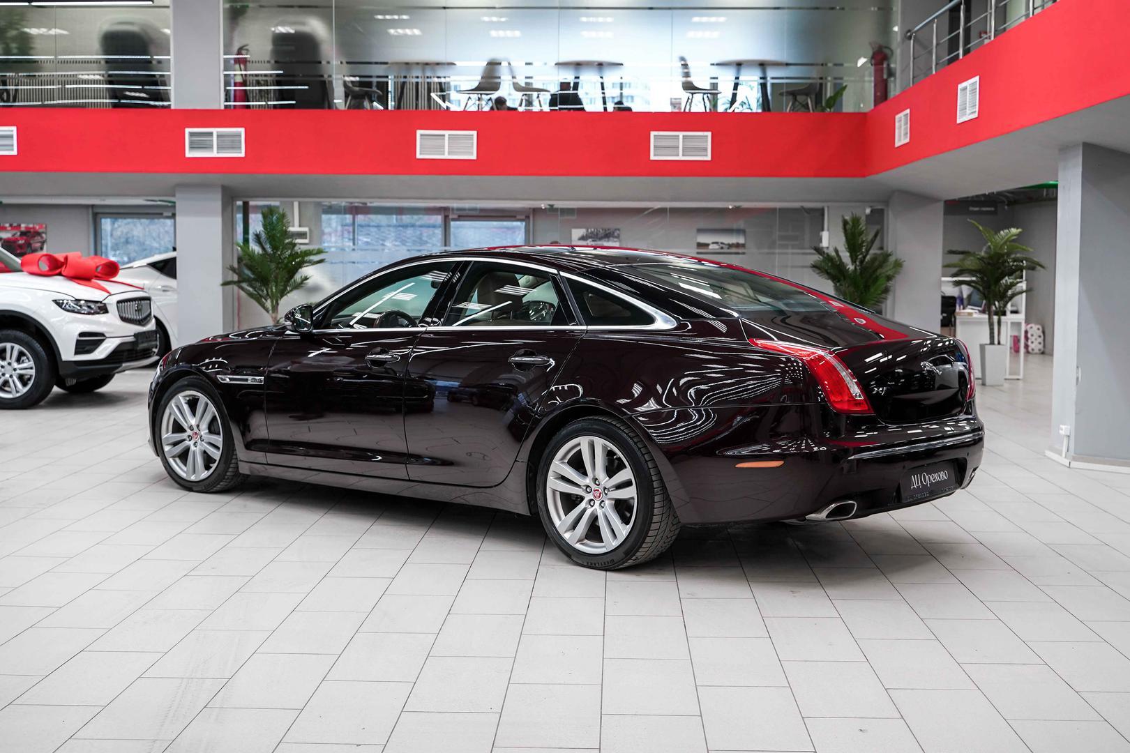 Jaguar XJ 2011, коричневый, ДЦ Орехово