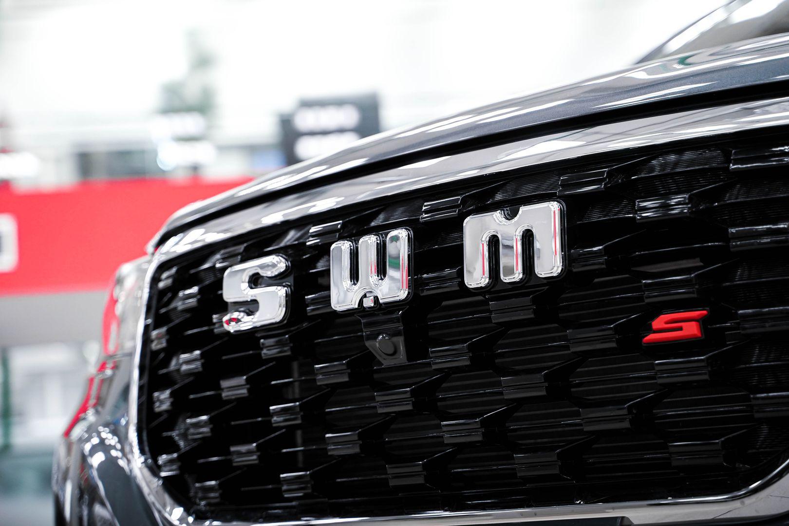 SWM G05 Pro 2024, серый, ДЦ Орехово
